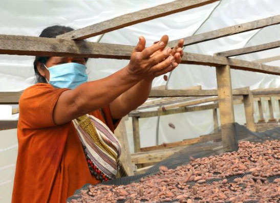 impactos positivos de organiccenter